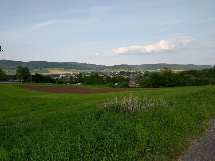 20240514-Elsnerweg