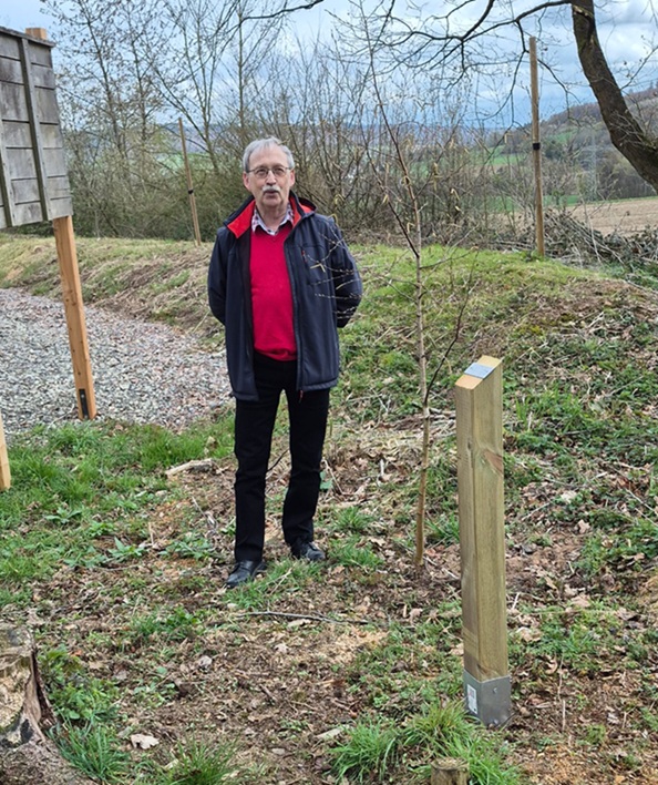 20260408-Birke%20gepflanzt