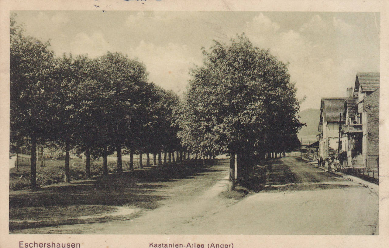 04-Anger-Kastanien